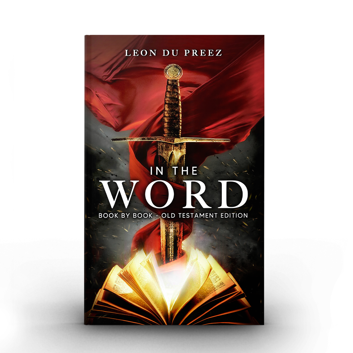 4. IN THE WORD BOOK