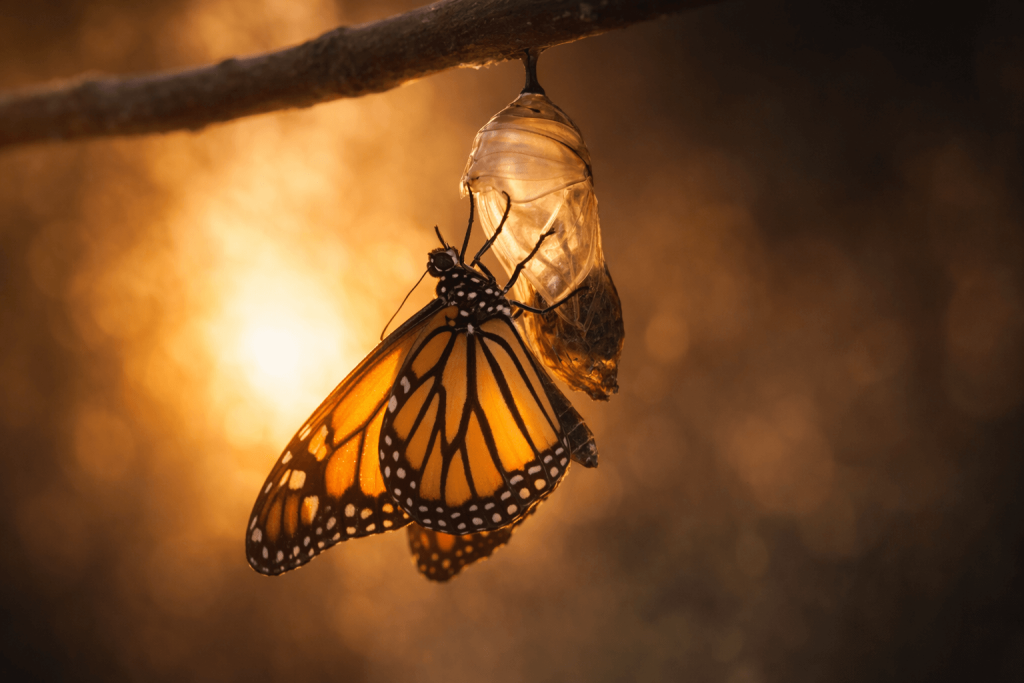 10 Things That Happen To Your Spirit The Moment You Are Born Again Png